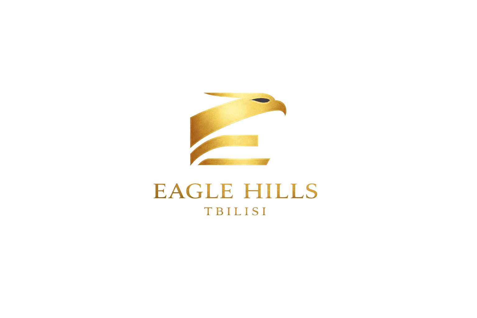 Eagle Hills Tbilisi Waterfront logo